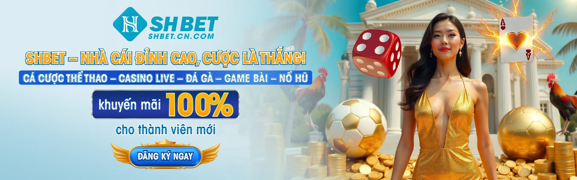 banner wesbite shbet