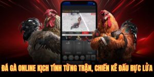 Đá gà online kịch tính từng trận chiến kê đấu rực lửa