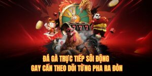 Đá gà trực tiếp