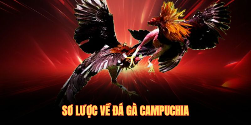 Sơ lược về đá gà campuchia