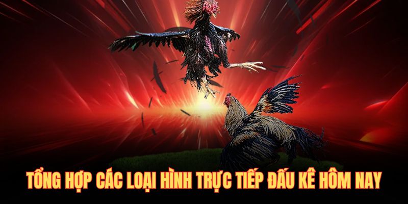 Tổng hợp các loại hình trực tiếp đấu kê hôm nay